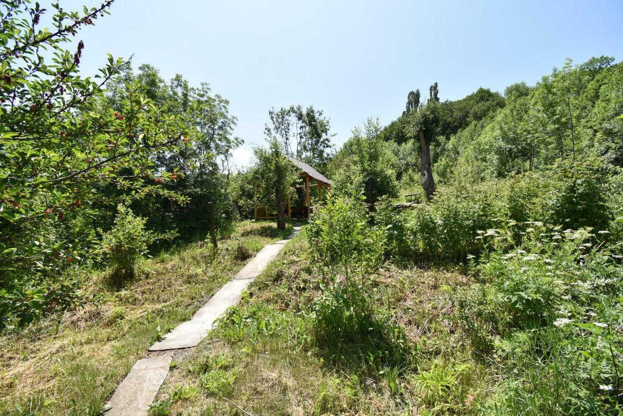 Guest House Arsan Cachkadzor Exteriér fotografie